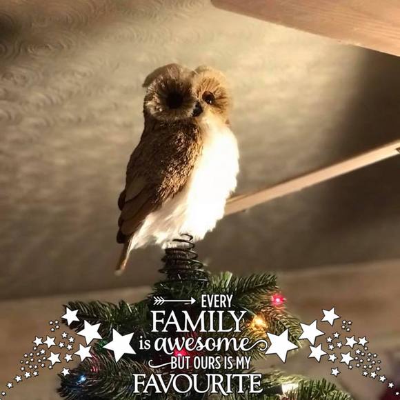 Meet your Posher, Amanda - Picture 1 of 1